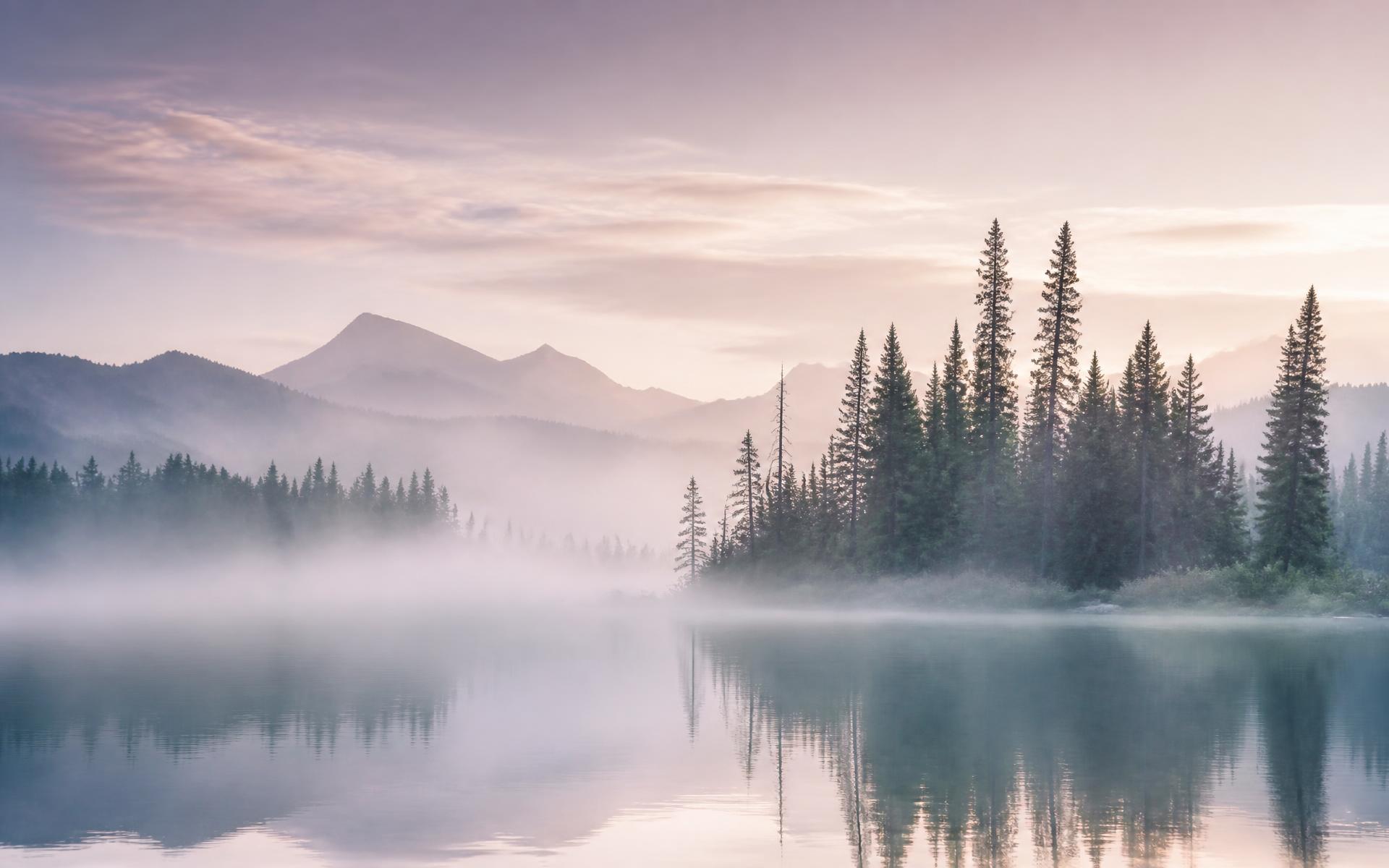 Soft morning mist over a quiet lake and pine forest in British Columbia